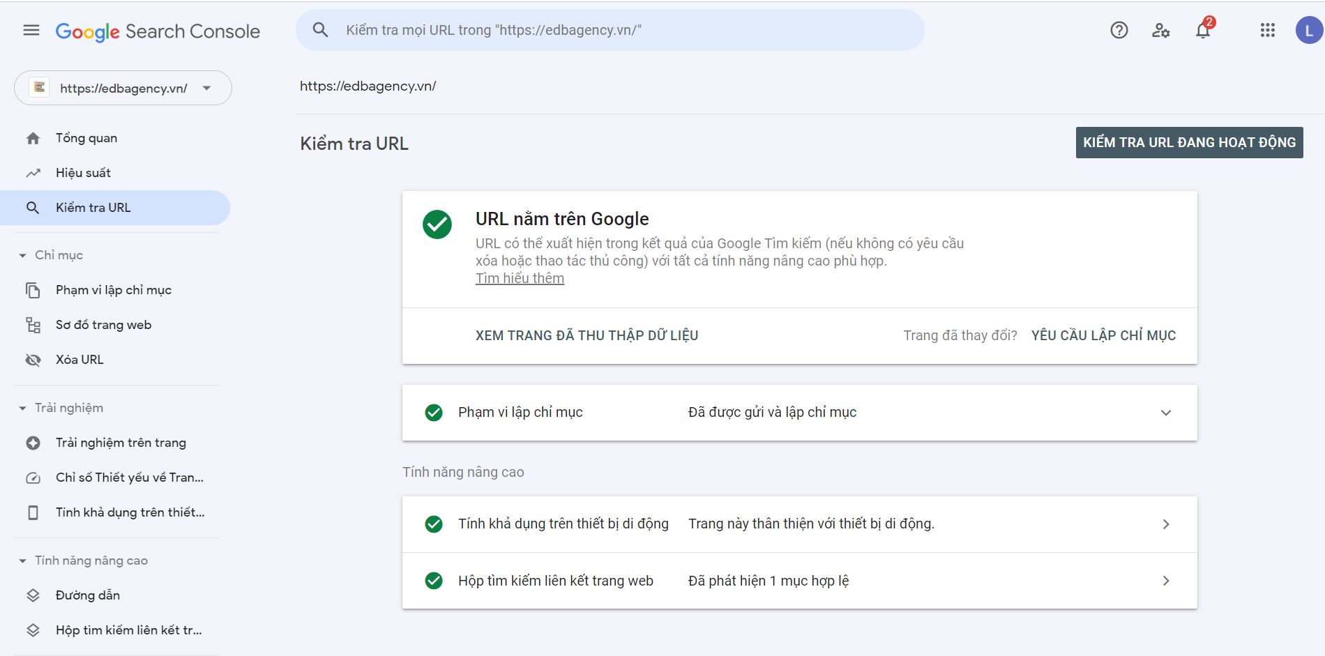 Kiểm tra trạng thái index của url trên Google Seach Console